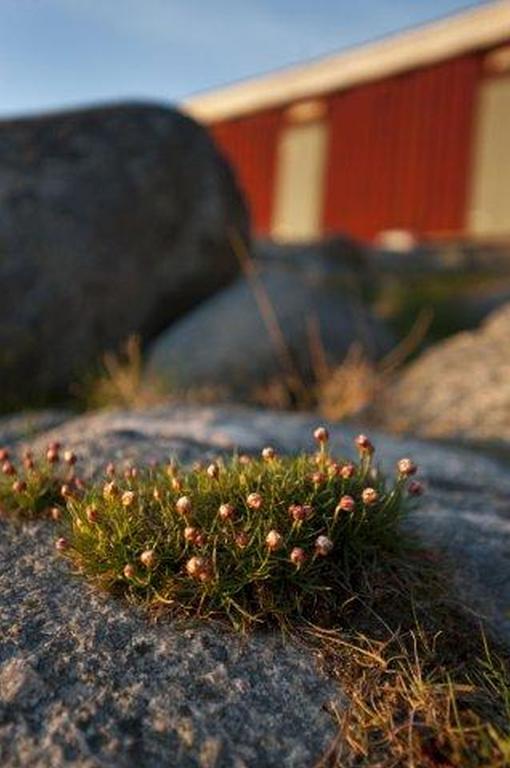 Hotel Ah Stifts- & Konferensgard Ljungskile Zewnętrze zdjęcie
